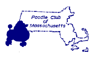 Untitled Design E1770954699327