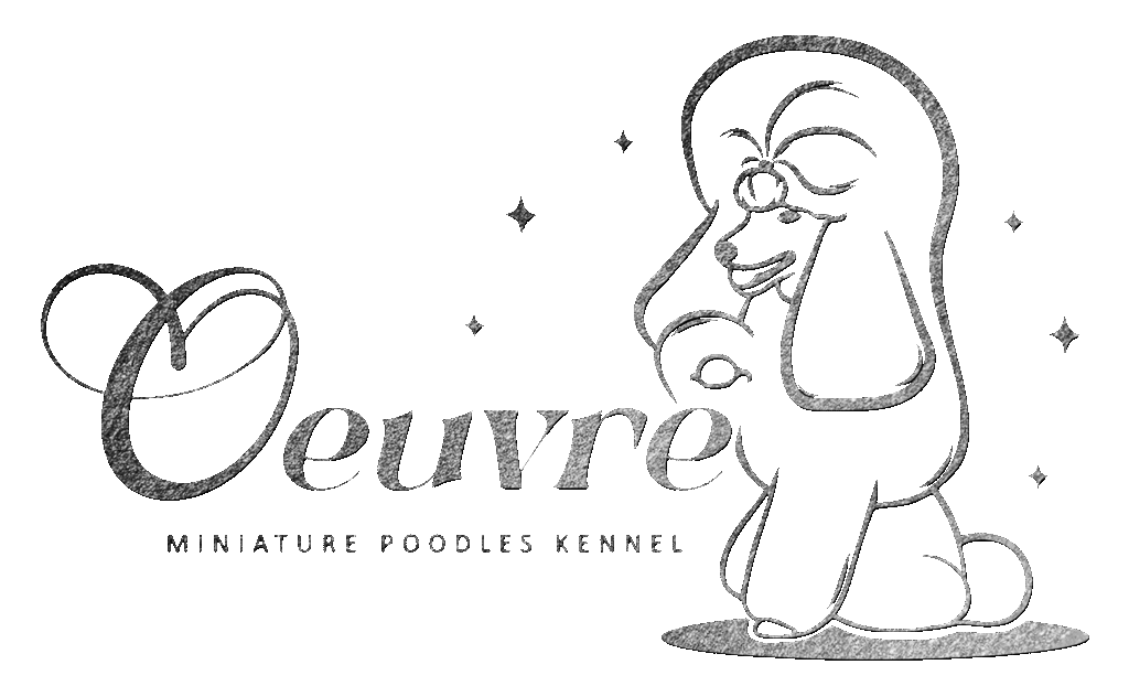 Cropped Oeuvre Logo Silver Texture Shadow 1024x622