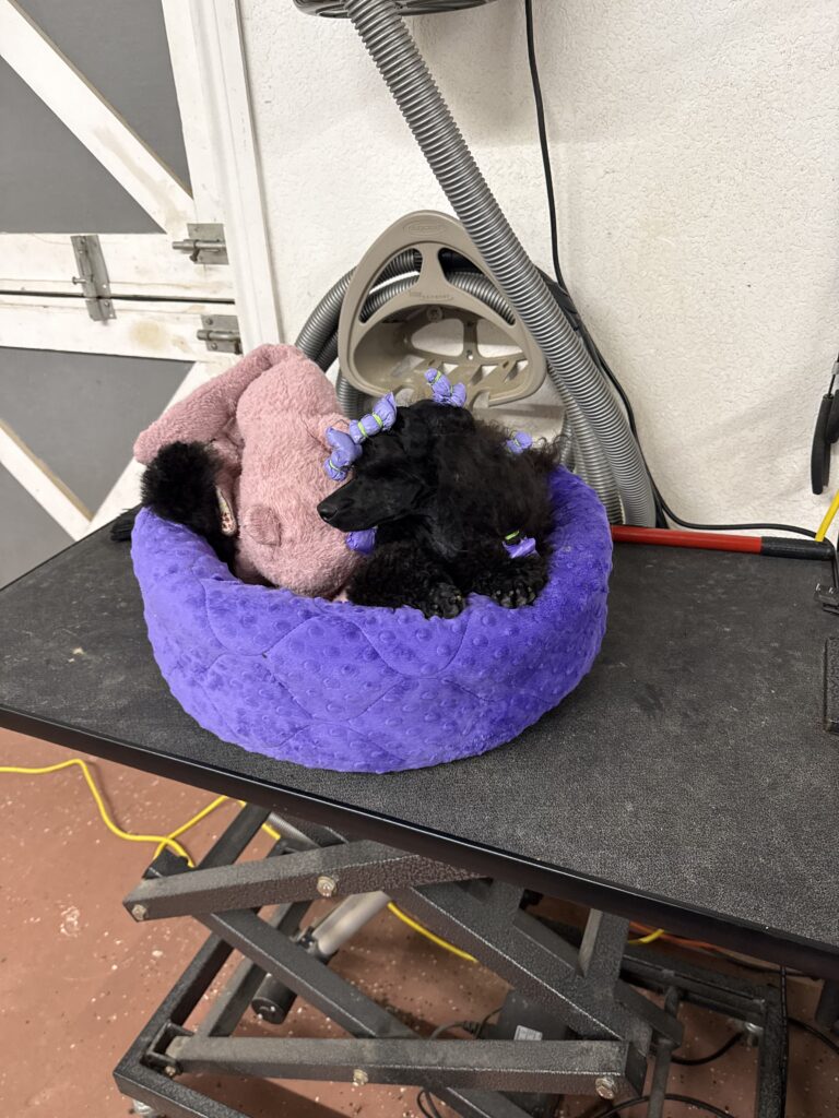 79316682055 4c13f807 84d5 41d1 a7e9 9cd75e81afe5