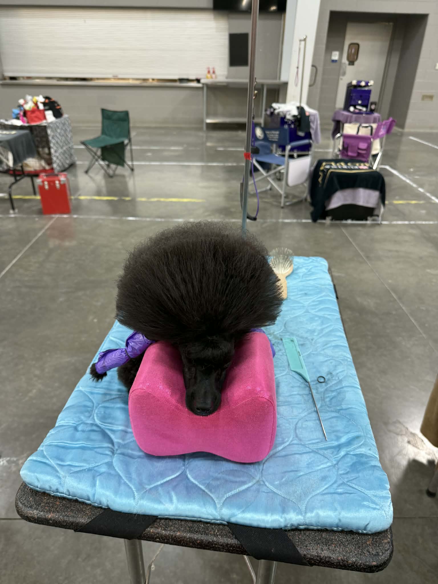 att. kjd2h8lnurr92 gs05ktw2pcih9c9yr9c3czfmhemw